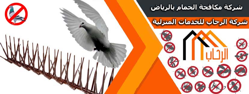 شركة مكافحة الحمام بالرياض