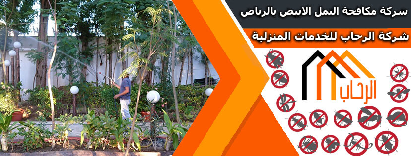 شركة مكافحة النمل الابيض بالرياض