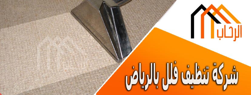 شركة تنظيف فلل بالرياض