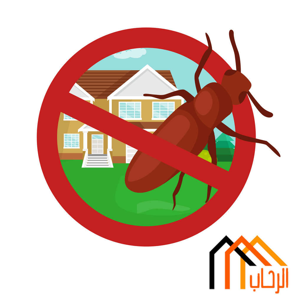 طرق التخلص من الحشرات الزاحفة