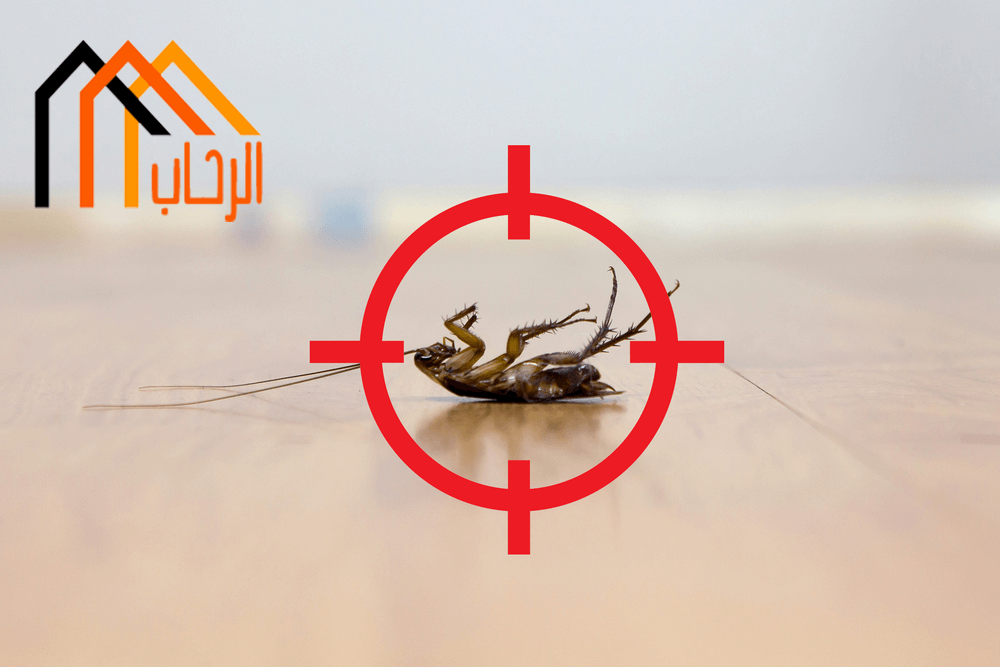 طرق القضاء على القوارض والحشرات