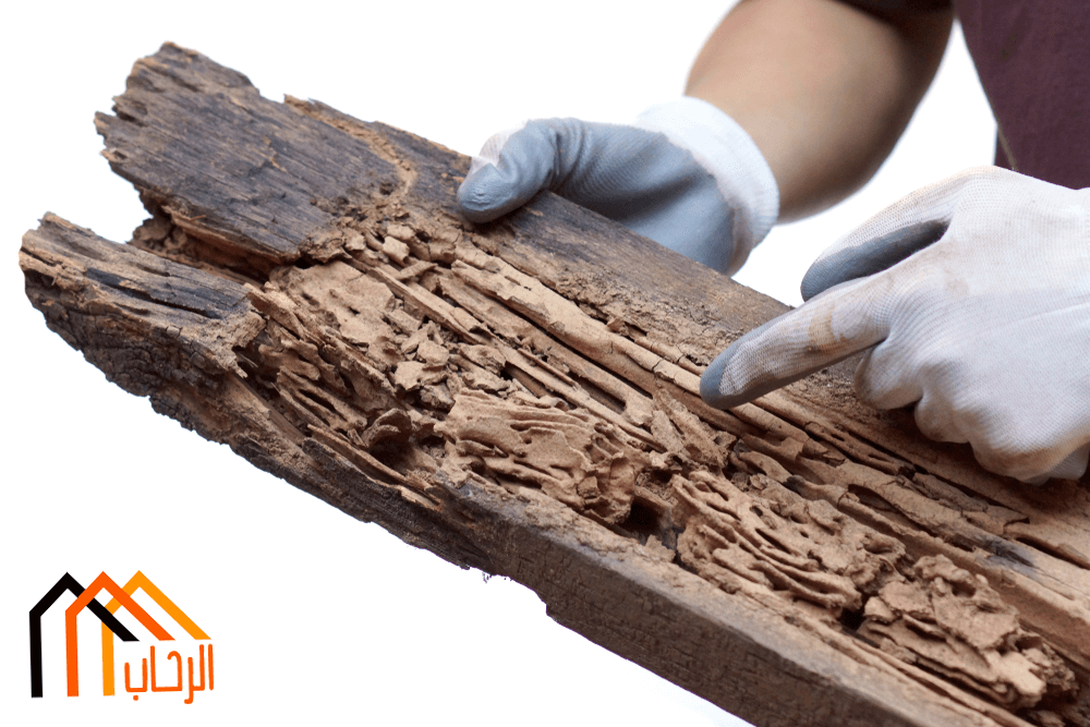 طرق الحماية من خطر الحشرات