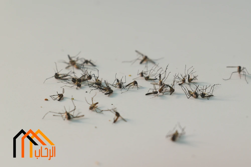 مكافحة الحشرات المنزلية بدون مبيدات