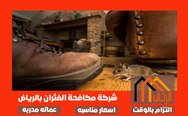 مكافحة الفئران بالرياض