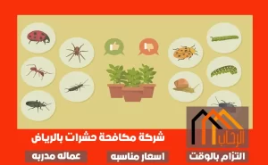أفضل شركات مكافحة الحشرات بالرياض