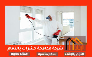 شركة مكافحة حشرات بالدمام