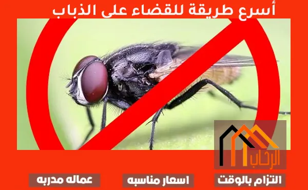 اسرع طريقة للقضاء على الذباب