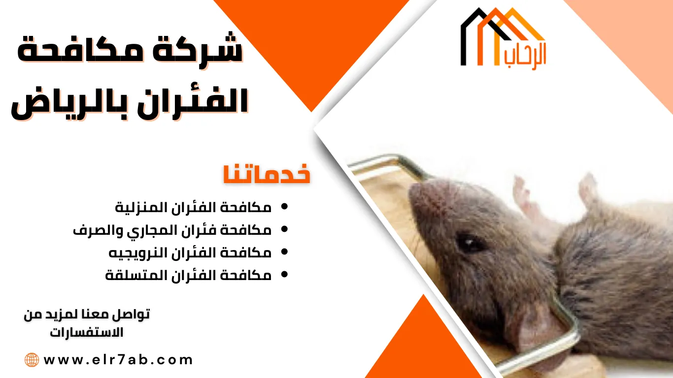 شركة مكافحة الفئران بالرياض