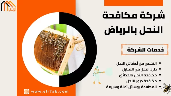 شركة مكافحة النحل بالرياض