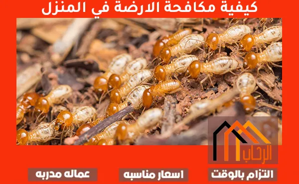 كيفية معالجة الارضة في المنزل